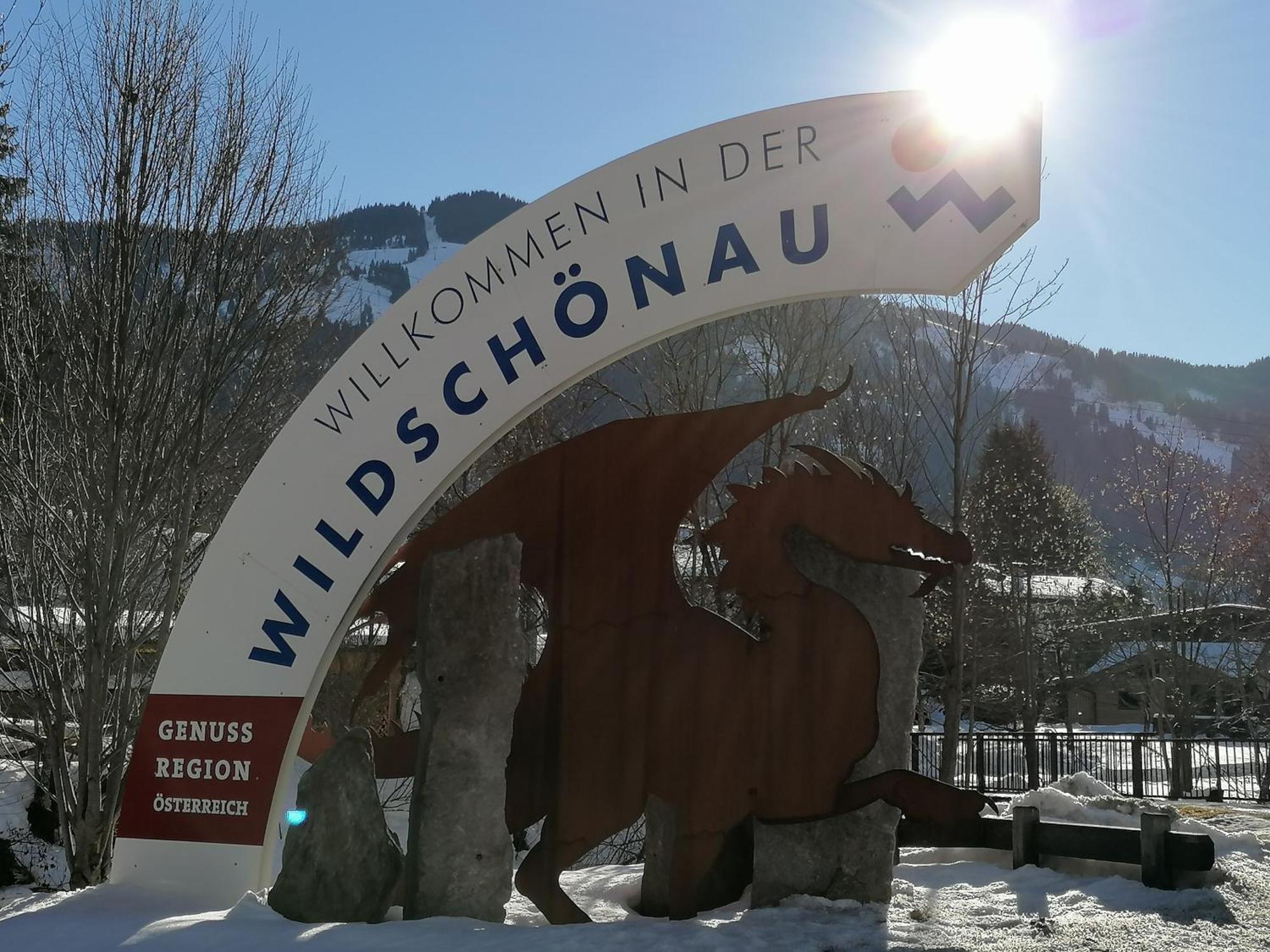 Ferienwohnung Sonnhangblick Von Fewo-Plan Wild015 Niederau Bagian luar foto